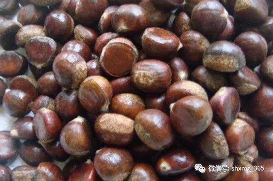 板栗怎么储藏效果最好 保存新鲜板栗的6种方法