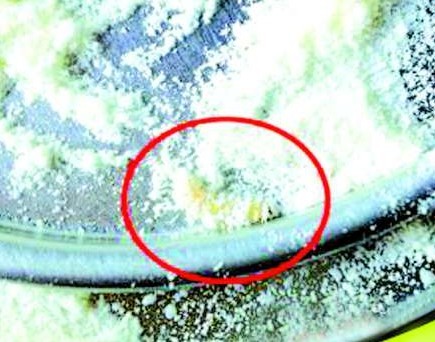 贝因美奶粉一年三次深陷虫子门 网友怒诉在卖虫